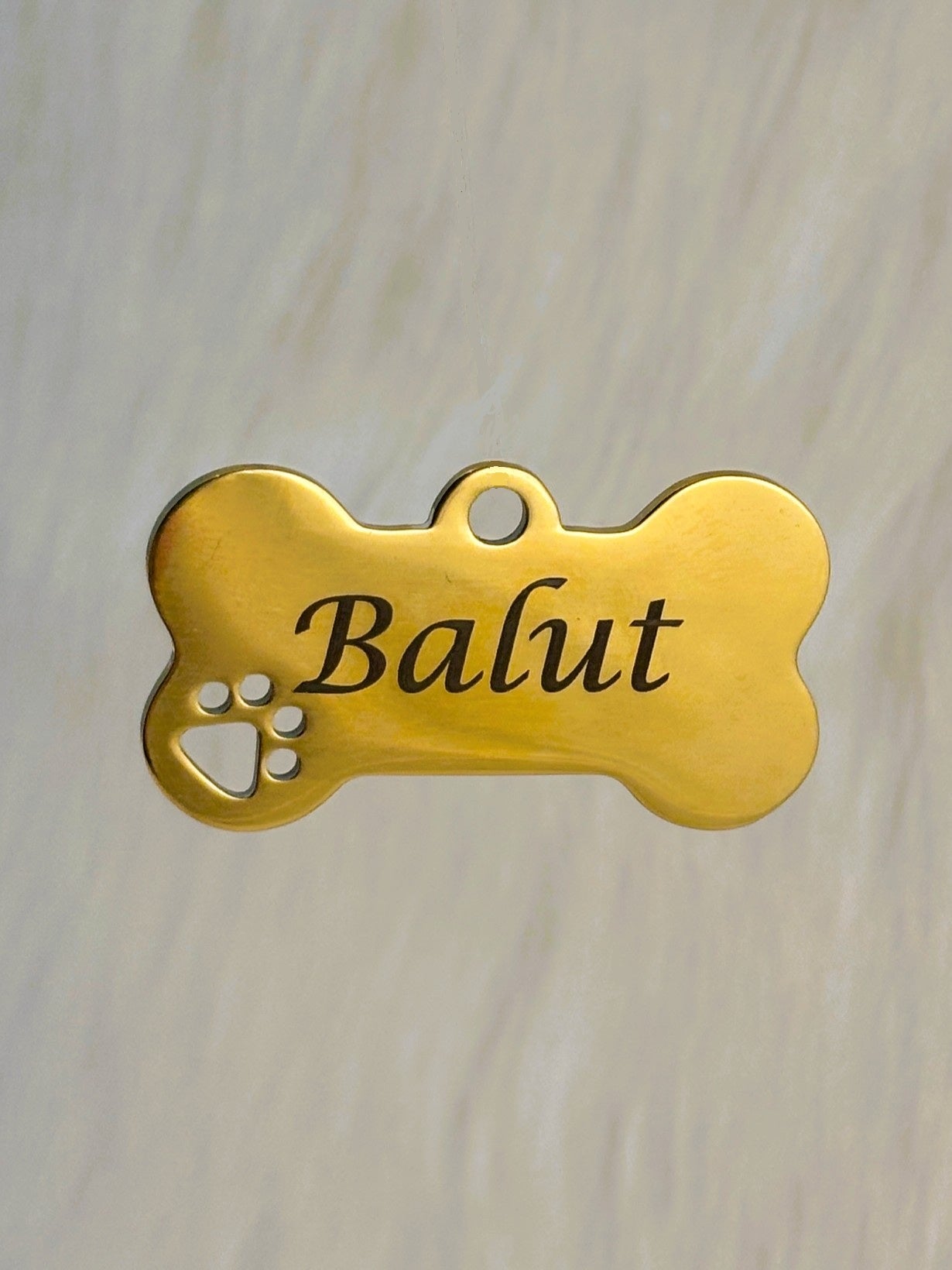 Gold or Silver Paw Print Dog Tag