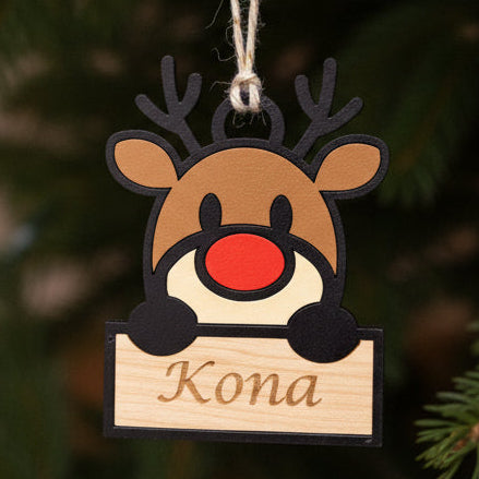 Personalized Reindeer